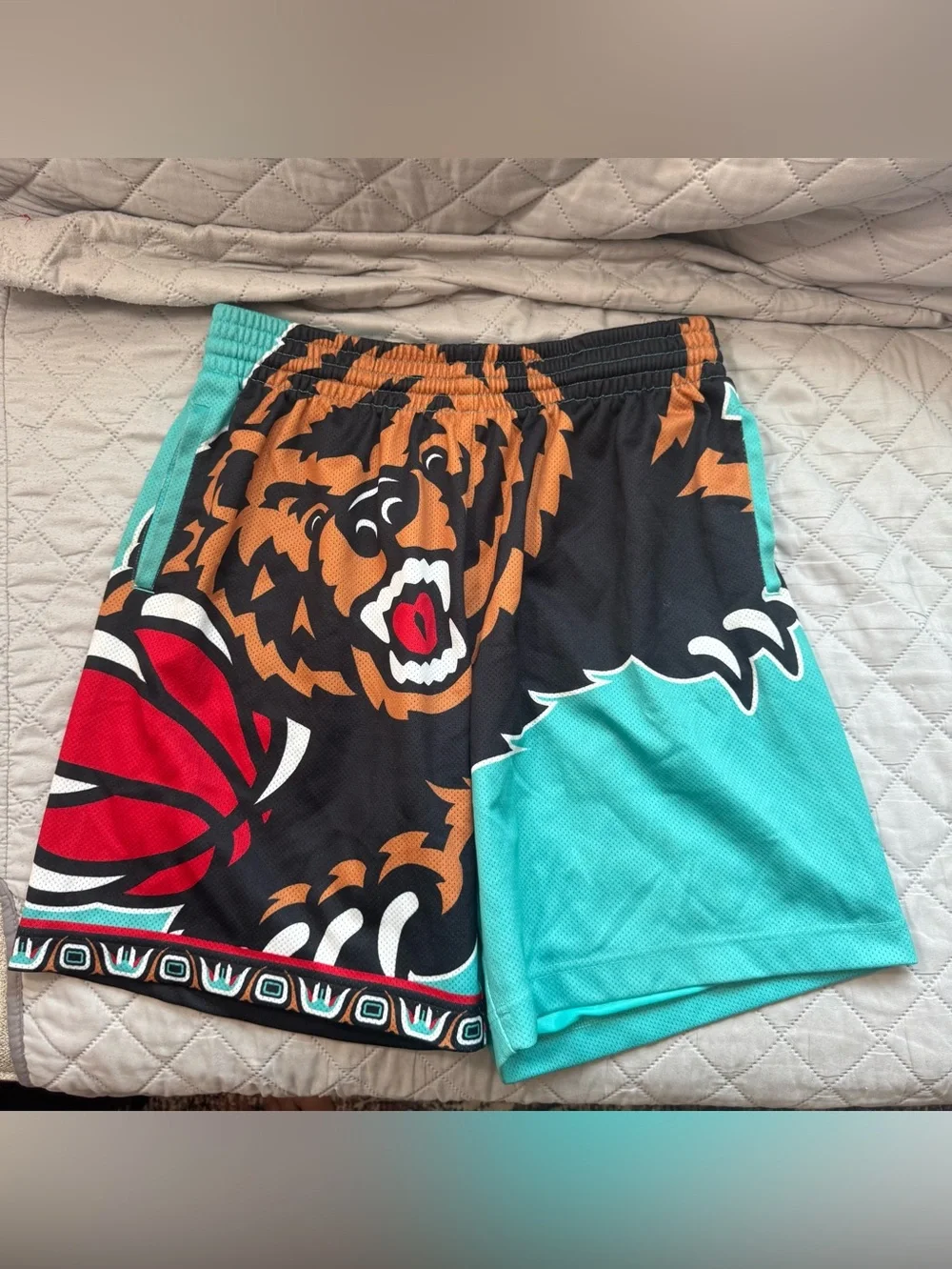 Mitchell & Ness Vancouver Grizzlies Big Face Hardwood Classics SWINGMAN Shorts L